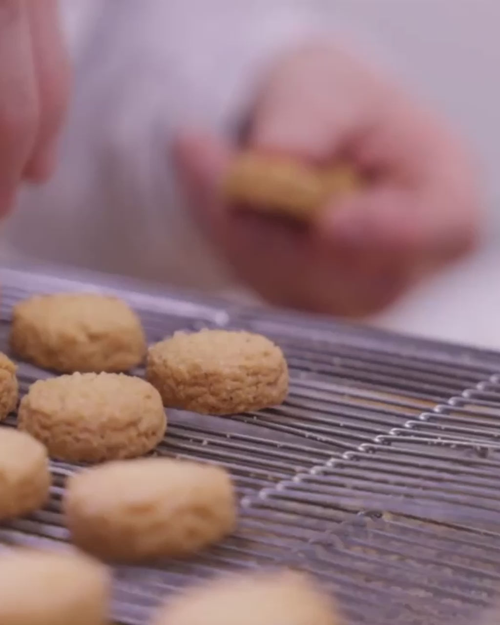 Visite de la biscuiterie Agathe